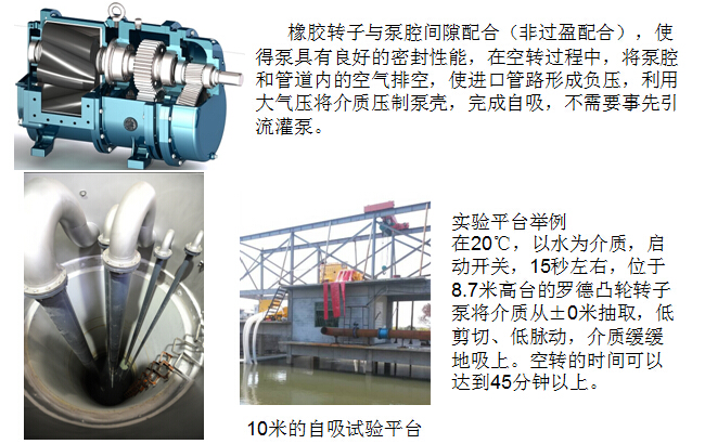 凸轮麻豆高清视频在线观看