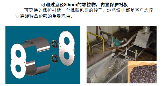 凸轮麻豆高清视频在线观看