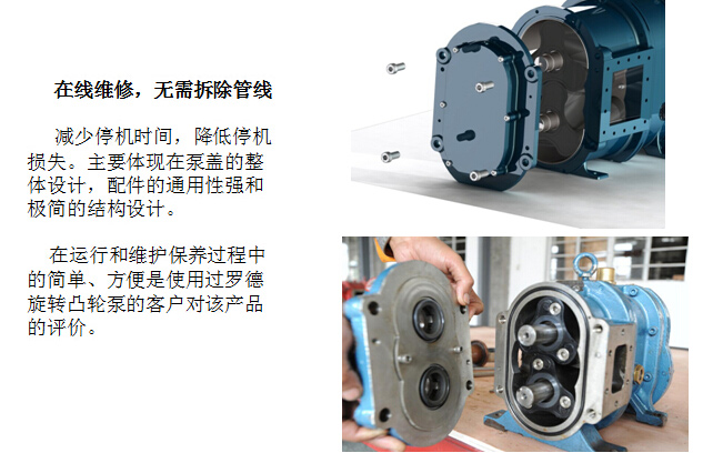 凸轮麻豆高清视频在线观看
