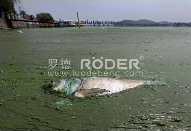 麻豆短视频免费版凸轮麻豆高清视频在线观看