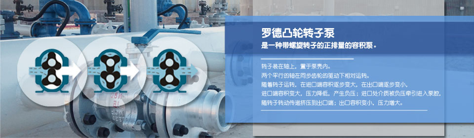 麻豆高清视频在线观看厂家