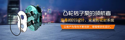 凸轮麻豆高清视频在线观看解决渣浆泵存在的问题